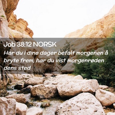 Picture 02 - Job 38:12 NORSK - Har du i dine dager befalt morgenen å bryte - Bible Verse Picture