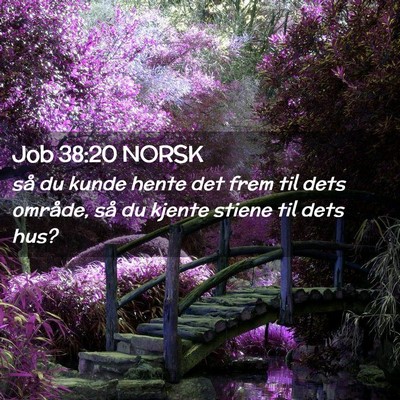 Picture 02 - Job 38:20 NORSK - så du kunde hente det frem til dets område, så - Bible Verse Picture