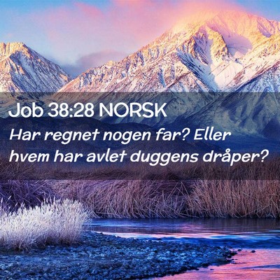 Picture 02 - Job 38:28 NORSK - Har regnet nogen far? Eller hvem har avlet - Bible Verse Picture