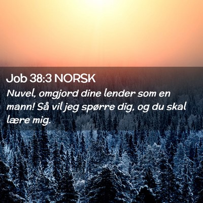 Picture 02 - Job 38:3 NORSK - Nuvel, omgjord dine lender som en mann! Så vil - Bible Verse Picture