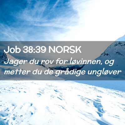 Picture 02 - Job 38:39 NORSK - Jager du rov for løvinnen, og metter du de - Bible Verse Picture