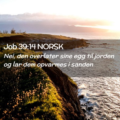Picture 02 - Job 39:14 NORSK - Nei, den overlater sine egg til jorden og lar dem - Bible Verse Picture