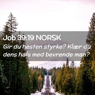 Picture 02 - Job 39:19 NORSK - Gir du hesten styrke? Klær du dens hals med - Bible Verse Picture