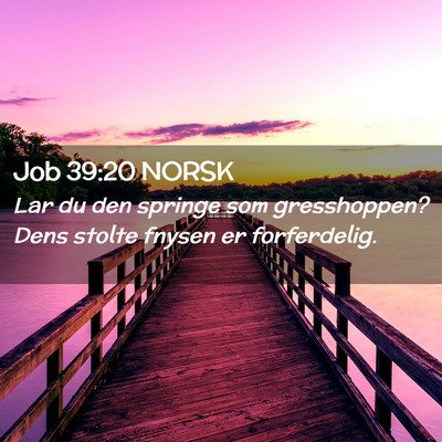 Picture 02 - Job 39:20 NORSK - Lar du den springe som gresshoppen? Dens stolte - Bible Verse Picture