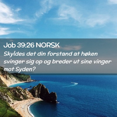 Picture 02 - Job 39:26 NORSK - Skyldes det din forstand at høken svinger sig op - Bible Verse Picture