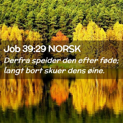 Picture 02 - Job 39:29 NORSK - Derfra speider den efter føde; langt bort skuer - Bible Verse Picture