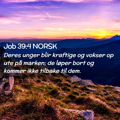 Picture 02 - Job 39:4 NORSK - Deres unger blir kraftige og vokser op ute på - Bible Verse Picture