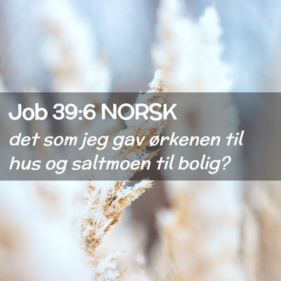 Picture 02 - Job 39:6 NORSK - det som jeg gav ørkenen til hus og saltmoen til - Bible Verse Picture
