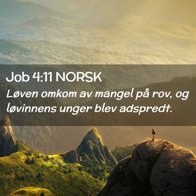 Picture 02 - Job 4:11 NORSK - Løven omkom av mangel på rov, og løvinnens - Bible Verse Picture