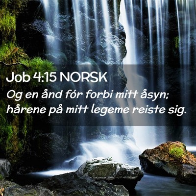 Picture 02 - Job 4:15 NORSK - Og en ånd fór forbi mitt åsyn; hårene på - Bible Verse Picture