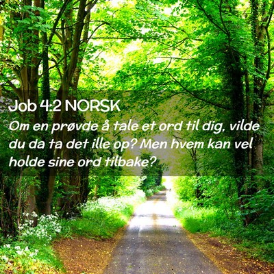 Picture 02 - Job 4:2 NORSK - Om en prøvde å tale et ord til dig, vilde du da - Bible Verse Picture