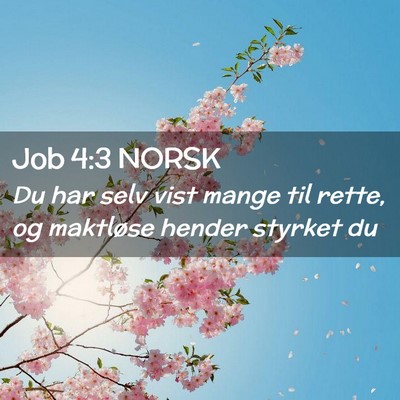 Picture 02 - Job 4:3 NORSK - Du har selv vist mange til rette, og maktløse - Bible Verse Picture