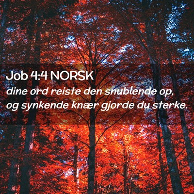 Picture 02 - Job 4:4 NORSK - dine ord reiste den snublende op, og synkende - Bible Verse Picture