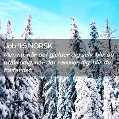 Picture 02 - Job 4:5 NORSK - Men nu, når det gjelder dig selv, blir du - Bible Verse Picture