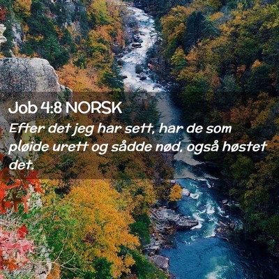 Picture 02 - Job 4:8 NORSK - Efter det jeg har sett, har de som pløide urett - Bible Verse Picture