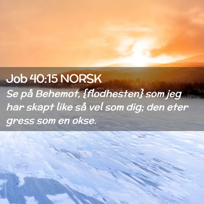 Picture 02 - Job 40:15 NORSK - Se på Behemot, {flodhesten} som jeg har skapt - Bible Verse Picture