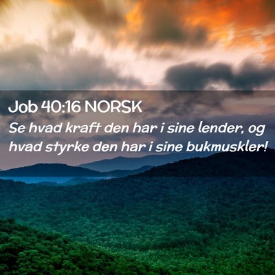 Picture 02 - Job 40:16 NORSK - Se hvad kraft den har i sine lender, og hvad - Bible Verse Picture