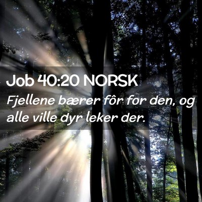 Picture 02 - Job 40:20 NORSK - Fjellene bærer fôr for den, og alle ville dyr - Bible Verse Picture