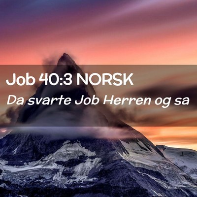 Picture 02 - Job 40:3 NORSK - Da svarte Job Herren og - Bible Verse Picture