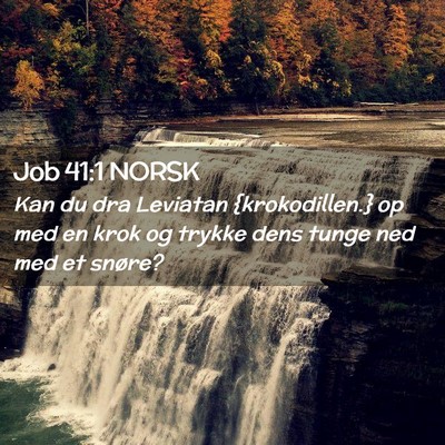 Picture 02 - Job 41:1 NORSK - Kan du dra Leviatan {krokodillen.} op med en krok - Bible Verse Picture