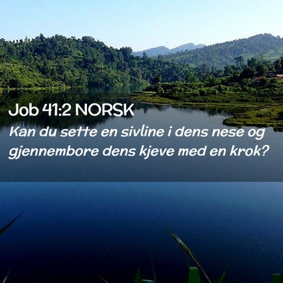 Picture 02 - Job 41:2 NORSK - Kan du sette en sivline i dens nese og - Bible Verse Picture