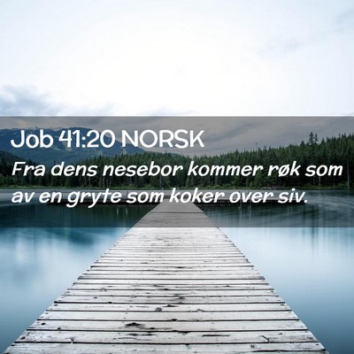 Picture 02 - Job 41:20 NORSK - Fra dens nesebor kommer røk som av en gryte som - Bible Verse Picture