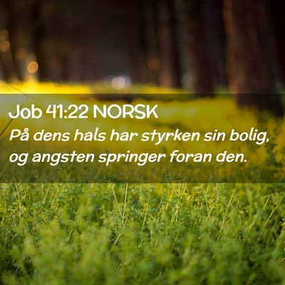 Picture 02 - Job 41:22 NORSK - På dens hals har styrken sin bolig, og angsten - Bible Verse Picture