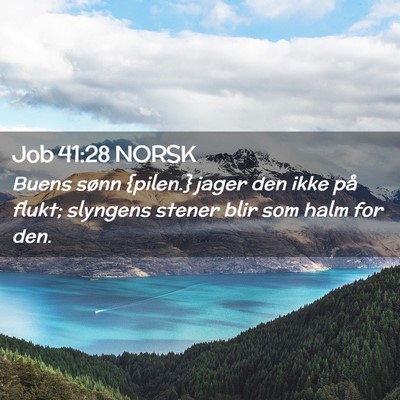 Picture 02 - Job 41:28 NORSK - Buens sønn {pilen.} jager den ikke på flukt; - Bible Verse Picture