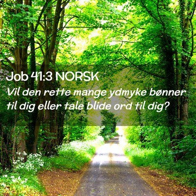 Picture 02 - Job 41:3 NORSK - Vil den rette mange ydmyke bønner til dig eller - Bible Verse Picture