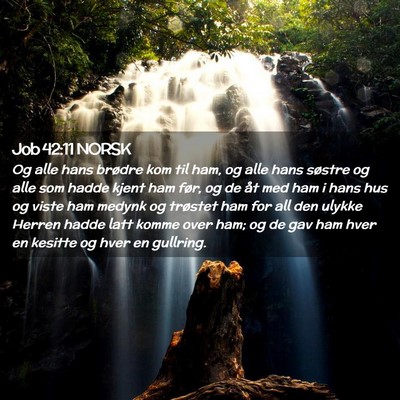 Picture 02 - Job 42:11 NORSK - Og alle hans brødre kom til ham, og alle hans - Bible Verse Picture