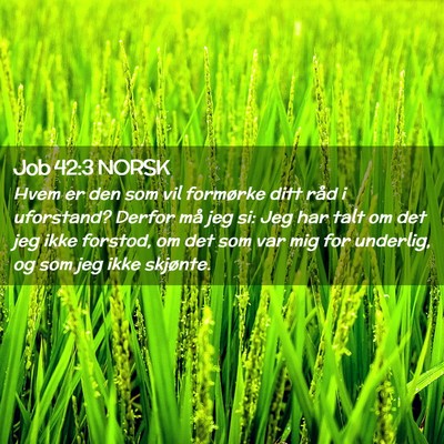 Picture 02 - Job 42:3 NORSK - Hvem er den som vil formørke ditt råd i - Bible Verse Picture