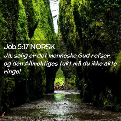 Picture 02 - Job 5:17 NORSK - Ja, salig er det menneske Gud refser, og den - Bible Verse Picture