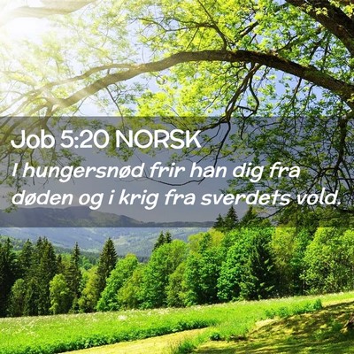 Picture 02 - Job 5:20 NORSK - I hungersnød frir han dig fra døden og i krig - Bible Verse Picture