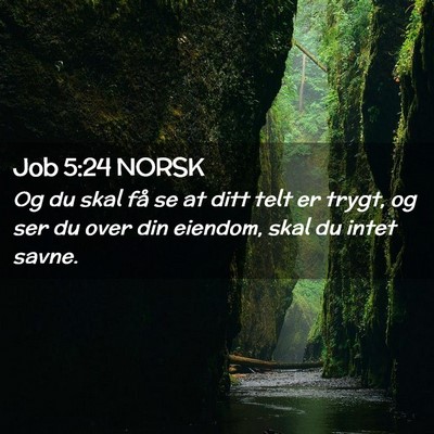 Picture 02 - Job 5:24 NORSK - Og du skal få se at ditt telt er trygt, og ser - Bible Verse Picture
