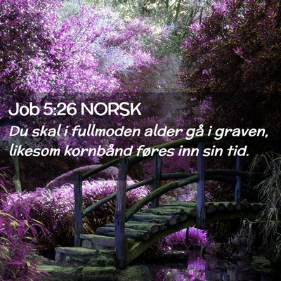 Picture 02 - Job 5:26 NORSK - Du skal i fullmoden alder gå i graven, likesom - Bible Verse Picture
