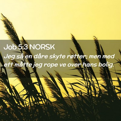 Picture 02 - Job 5:3 NORSK - Jeg så en dåre skyte røtter; men med ett - Bible Verse Picture