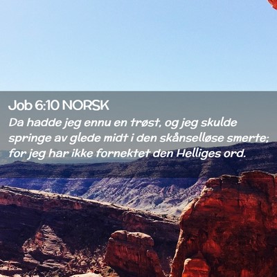 Picture 02 - Job 6:10 NORSK - Da hadde jeg ennu en trøst, og jeg skulde - Bible Verse Picture