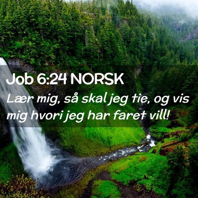 Picture 02 - Job 6:24 NORSK - Lær mig, så skal jeg tie, og vis mig hvori jeg - Bible Verse Picture
