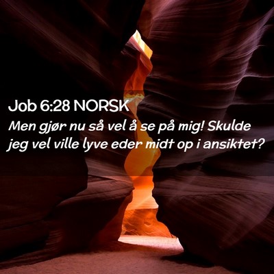 Picture 02 - Job 6:28 NORSK - Men gjør nu så vel å se på mig! Skulde jeg - Bible Verse Picture