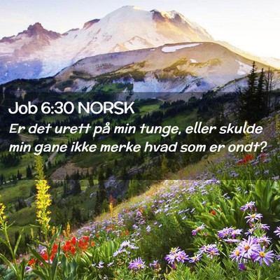 Picture 02 - Job 6:30 NORSK - Er det urett på min tunge, eller skulde min gane - Bible Verse Picture
