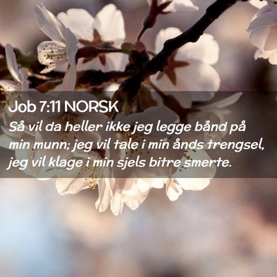 Picture 02 - Job 7:11 NORSK - Så vil da heller ikke jeg legge bånd på min - Bible Verse Picture