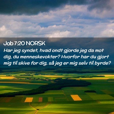 Picture 02 - Job 7:20 NORSK - Har jeg syndet, hvad ondt gjorde jeg da mot dig, - Bible Verse Picture
