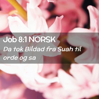 Picture 02 - Job 8:1 NORSK - Da tok Bildad fra Suah til orde og - Bible Verse Picture