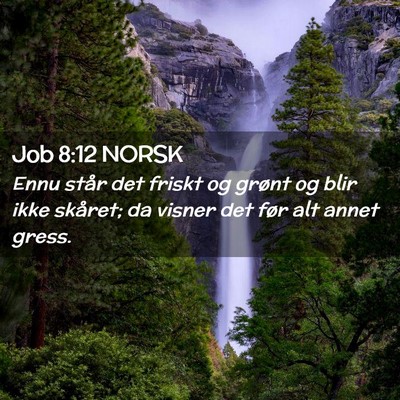 Picture 02 - Job 8:12 NORSK - Ennu står det friskt og grønt og blir ikke - Bible Verse Picture