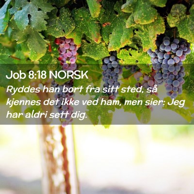 Picture 02 - Job 8:18 NORSK - Ryddes han bort fra sitt sted, så kjennes det - Bible Verse Picture