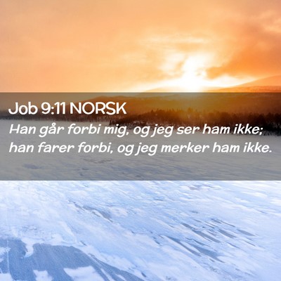 Picture 02 - Job 9:11 NORSK - Han går forbi mig, og jeg ser ham ikke; han - Bible Verse Picture