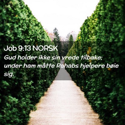 Picture 02 - Job 9:13 NORSK - Gud holder ikke sin vrede tilbake; under ham - Bible Verse Picture