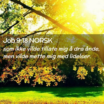 Picture 02 - Job 9:18 NORSK - som ikke vilde tillate mig å dra ånde, men - Bible Verse Picture