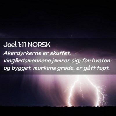 Picture 02 - Joel 1:11 NORSK - Akerdyrkerne er skuffet, vingårdsmennene jamrer - Bible Verse Picture