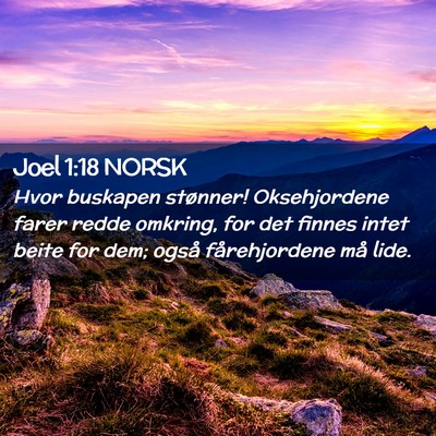 Picture 02 - Joel 1:18 NORSK - Hvor buskapen stønner! Oksehjordene farer redde - Bible Verse Picture